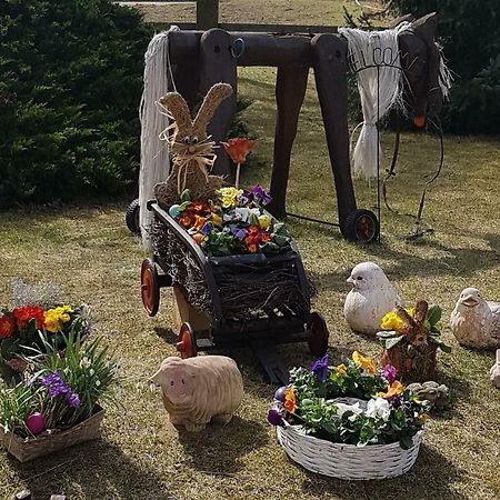 Urlaubsscheune Niedergorsdorf Dış mekan fotoğraf